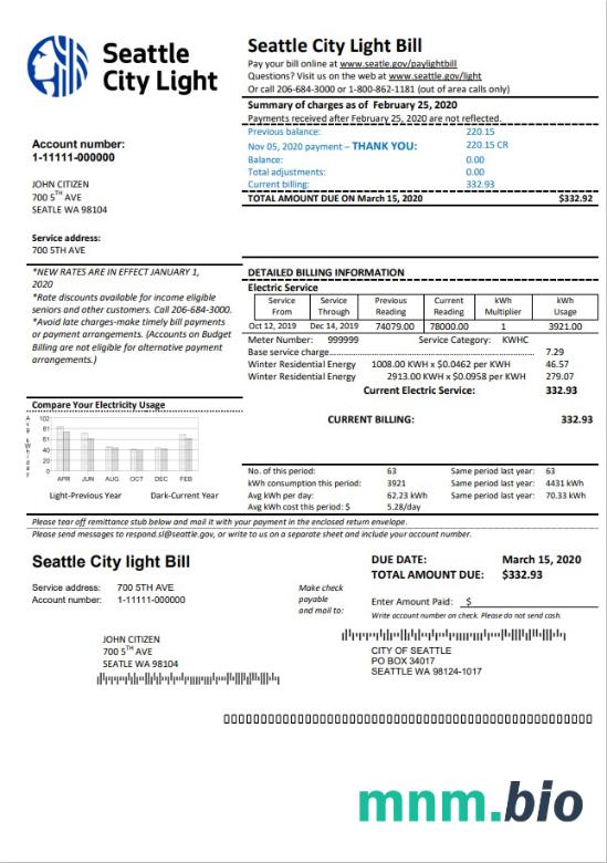 USA Washington Seattle City Light rachunek za media szablon w formacie Word i PDF